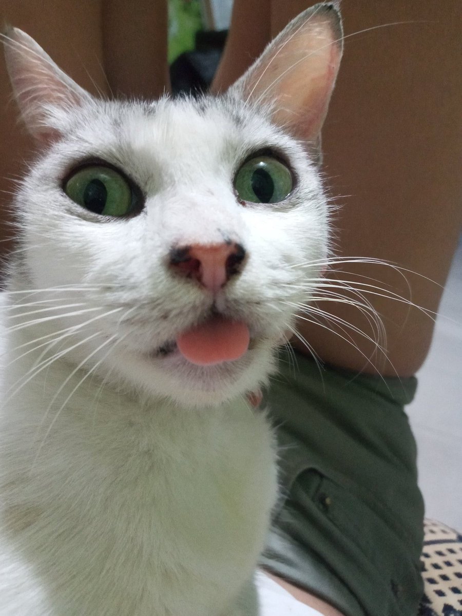 ITS EVERYONE’S FAVORITE DAY 

👅👅👅MLEMSDAY!!!!!! 👅👅👅

post those lil tongues on main u maniacs