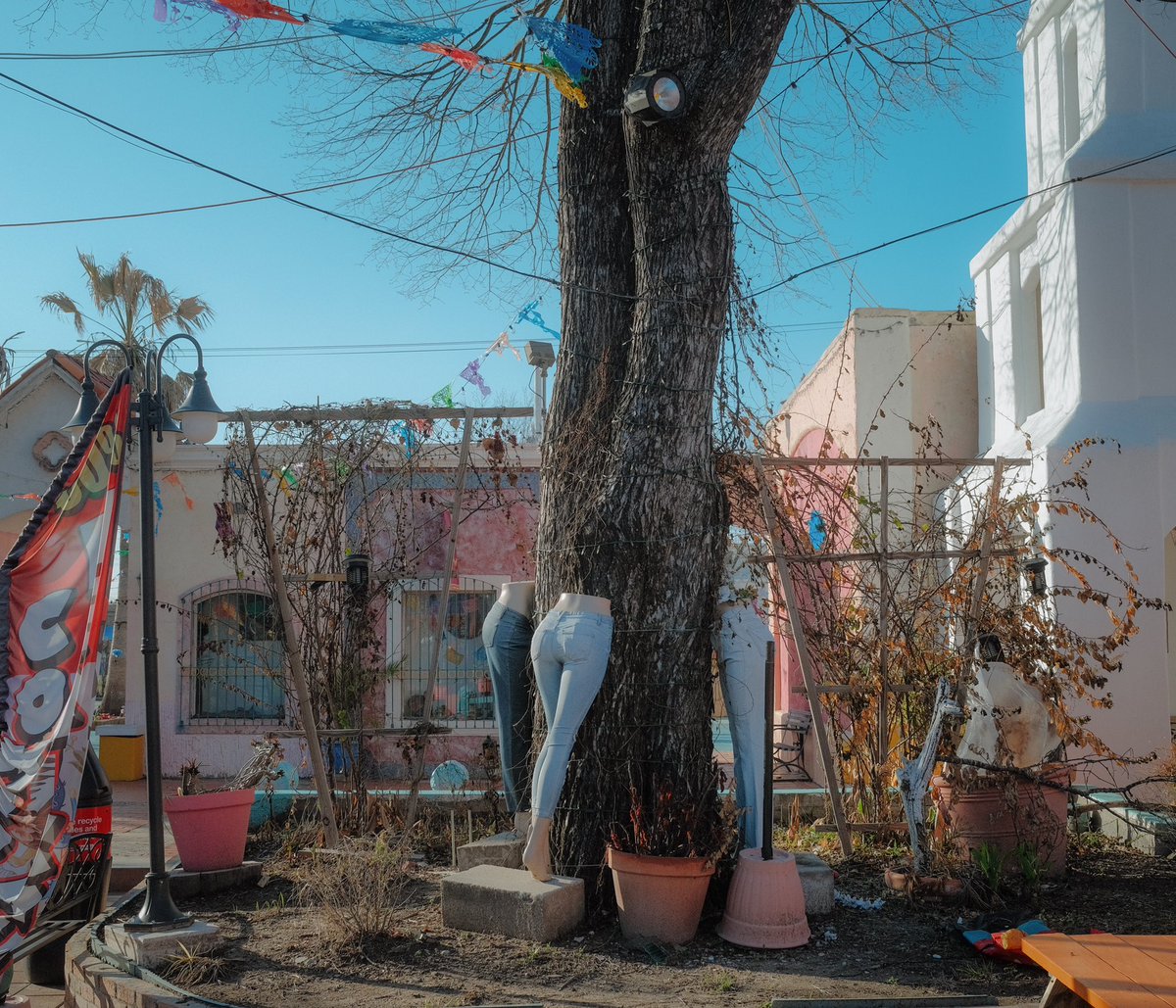 Conchasaurus's tweet image. Strange views in the city. #FujifilmX100V