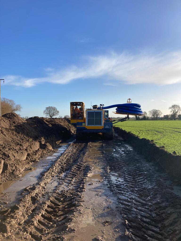 D&P Dear - Quality Beef Finishing tweet media