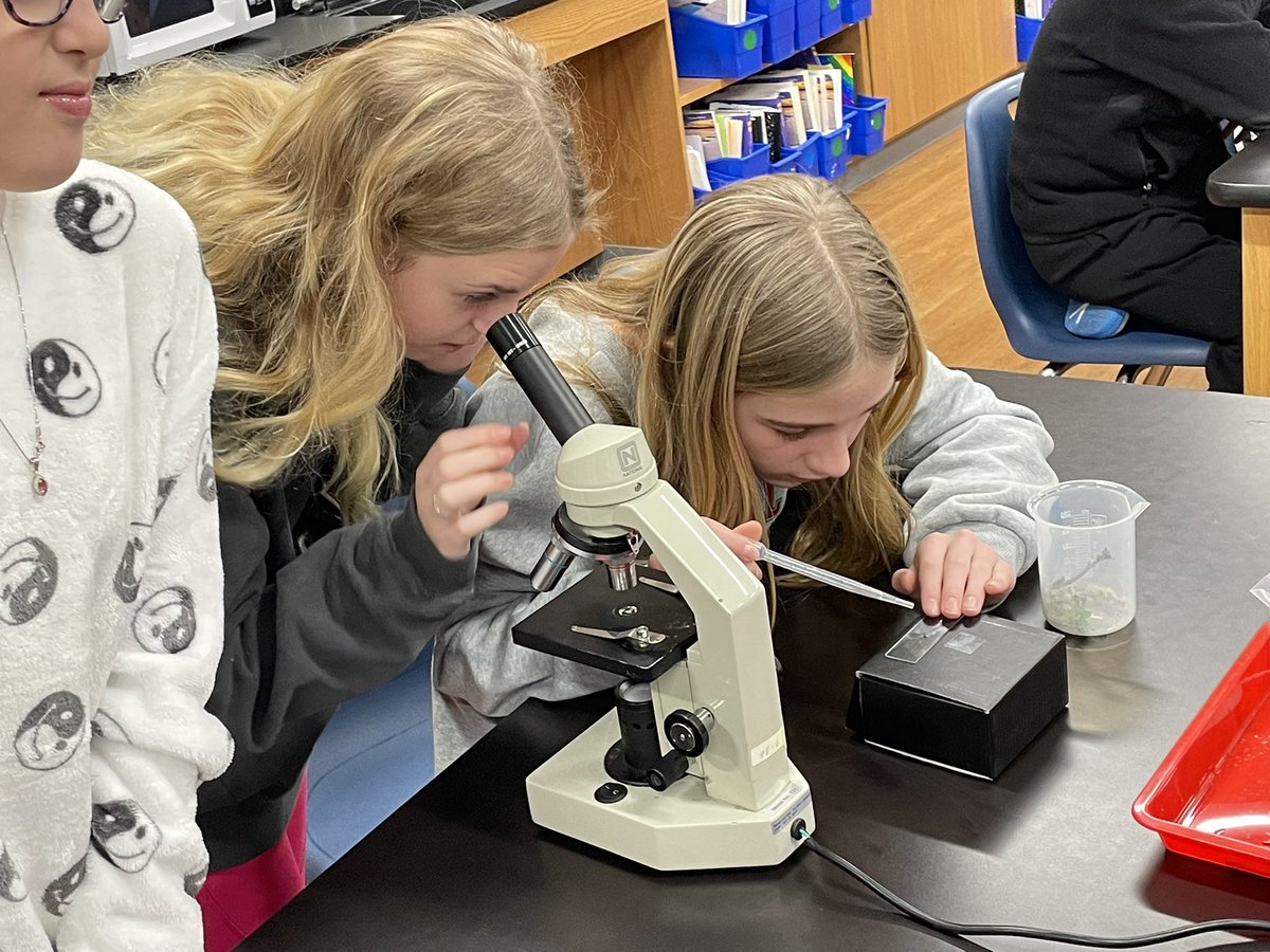 Tyler C. Hollinger tweet media