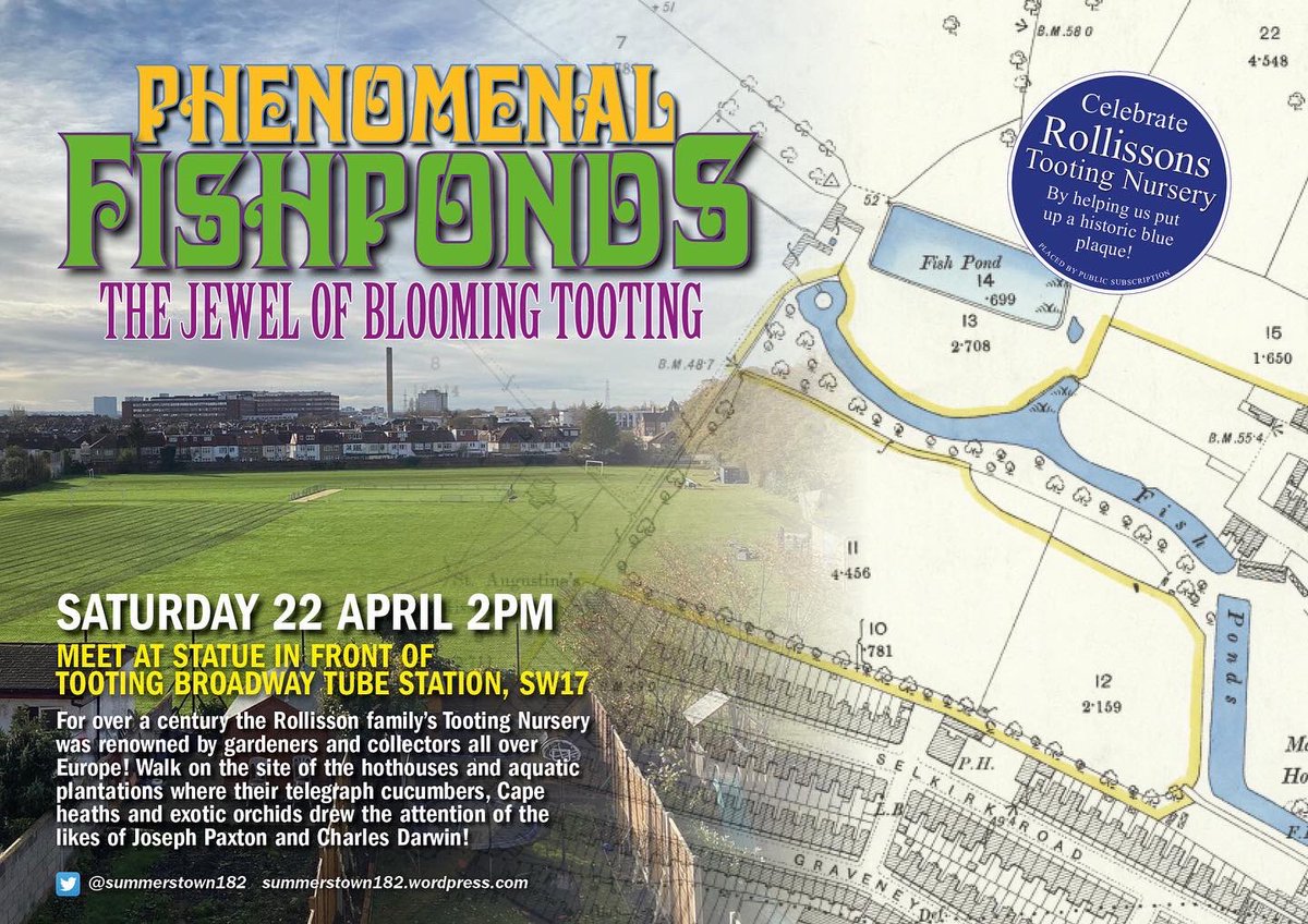 summerstown182's tweet image. HERE THEY COME! #SpringUprising on Aboyne Estate is underway! Get ready for some glorious walks through #BloomingTooting #FieldsOfGold where all you need is #peace #love #flowertothepeople  summerstown182.wordpress.com