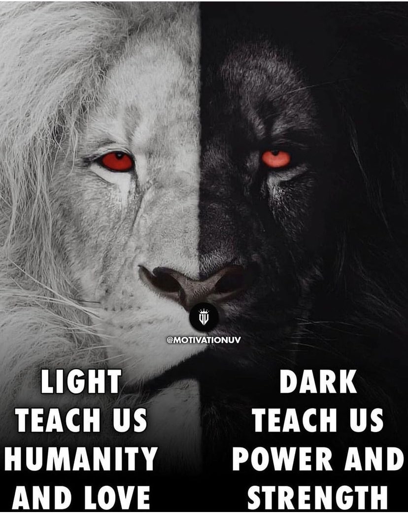 Kris Wouters tweet media