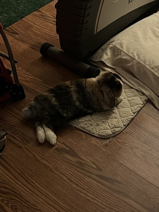 @iie0y_ My bun buns https://t.co/PNEjXcOMWY<a class="tags" target="_blank" title="On Twitter" href="/?out=eyJ0eXAiOiJKV1QiLCJhbGciOiJIUzUxMiJ9.eyJpYXQiOjE3MjU1MzMzODQsImlzcyI6InR3cG9ybnN0YXJzLmNvbSIsIm5iZiI6MTcyNTUzMzM4NCwiZXhwIjoxNzU3MDY5Mzg0LCJyZWRpcmVjdF91cmwiOiJodHRwczovL3R3aXR0ZXIuY29tL2lpZTB5XyJ9.1EaQ7282ikEOo2MN2HGzwZCAWK2qmFgXxs4u5iStwHhwr_iANOB8xatDxgLOCCnXbj_g-DVezs2rGBn6Bk9eJw">@iie0y_</a><a href="/tag/onlyfans"class="tags"><span>#onlyfans</span></a><a href="/tag/onlyfansgirl"class="tags"><span>#onlyfansgirl</span></a><a href="/tag/onlyfanspromo"class="tags"><span>#onlyfanspromo</span></a>