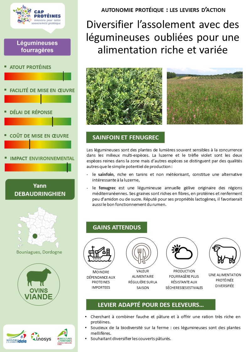 CapProteines's tweet photo. En Dordogne, cet éleveur ovin a diversifié l’assolement avec des légumineuses oubliées : le #sainfoin et le #fenugrec 🐑🌿
👉 Fiche sur https://t.co/HEjwfEKsWv
👉 et sur https://t.co/4mA0a5NXwk
👋 @Chambagri24 @InstitutElevage @reussirpatre @ReussirPerigord @AgrobioP @Inn_Ovin https://t.co/08mv4Puih1