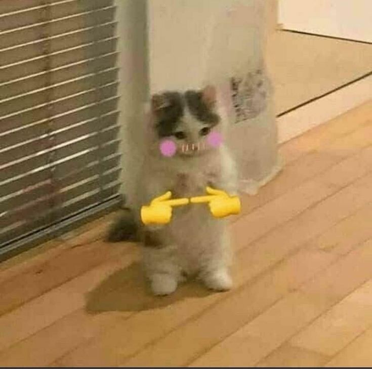 jojisditd's tweet photo. can't tell you that i'm back but hey while i'm here how are you doing my joji twitter? https://t.co/17IjQGigxr