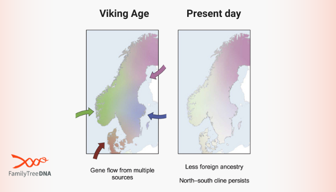 FamilyTreeDNA tweet media