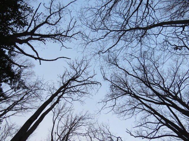 CrabCreek_Cons tweet picture