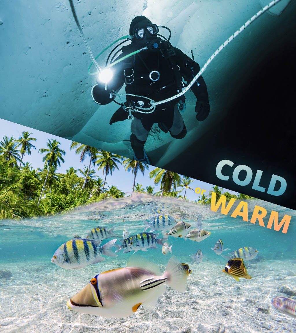 SDIdivers's tweet photo. We want to know whether you like warm or cold water diving better. 🤿 Tell us which one you prefer and why in the comments! ⬇️

#sdidivers #scubadiving #warmvscold https://t.co/qEnx6irwmM