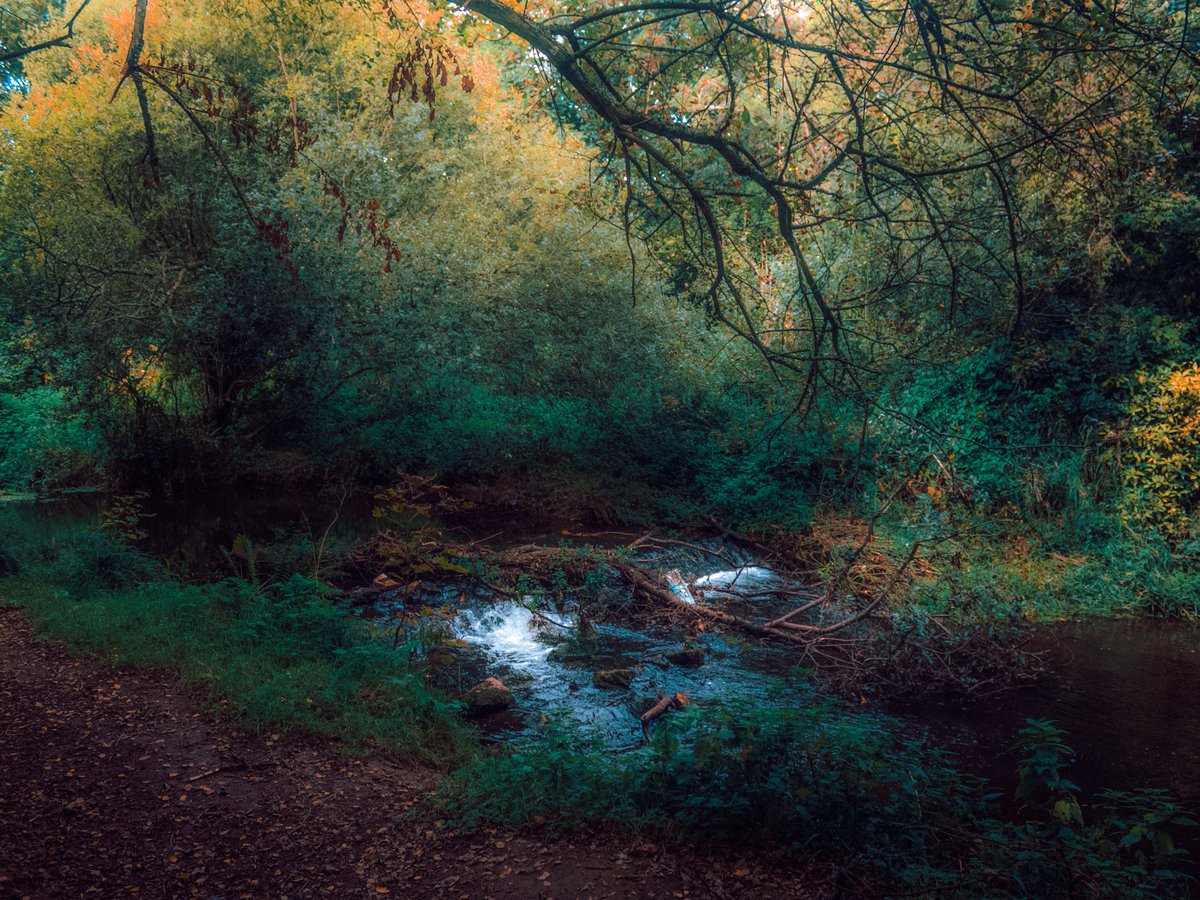 artofseanmurphy's tweet photo. In The Gentle Embrace Of Nature https://t.co/7WxQPaDBzG
