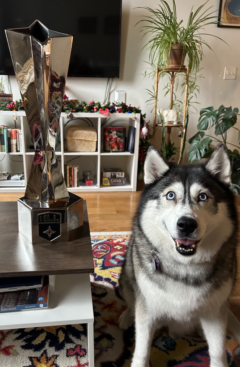 Colorado Mammoth tweet media