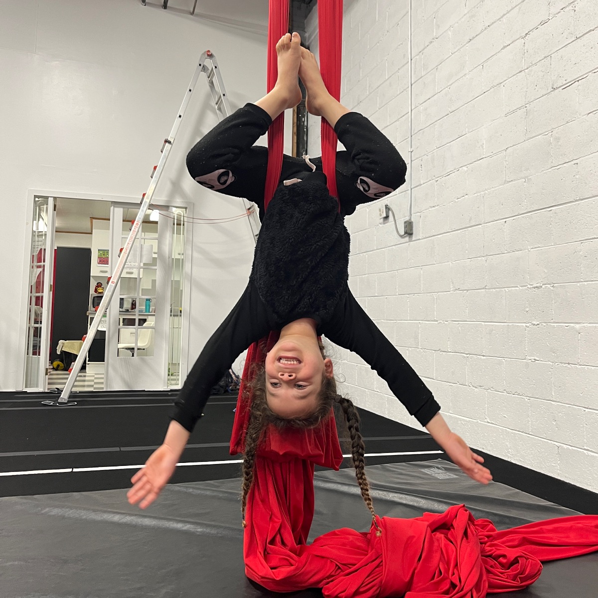 CirqueAbility tweet picture