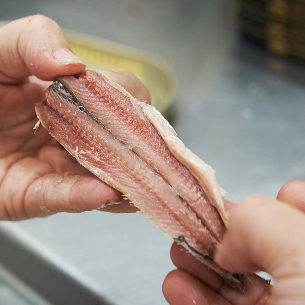 Lorea desde 1867 tweet media