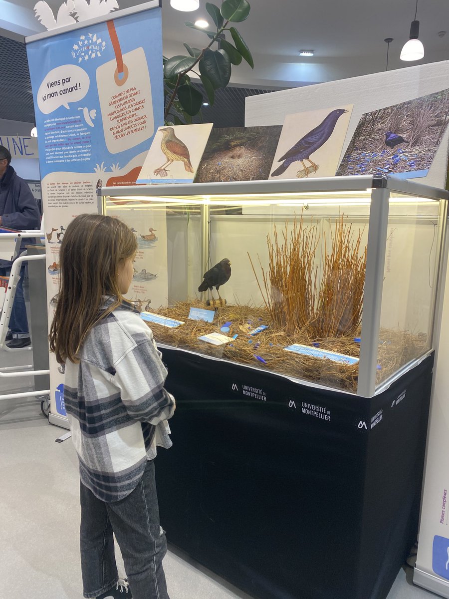 Isabelle Parrot (@iparrot_um) on Twitter photo Ravie d’inaugurer l’exposition LitterNature à la médiathèque de <a href="/VilleCastries/">Ville de Castries</a> <a href="/umontpellier/">Université de Montpellier</a> <a href="/Montpellier3m/">Montpellier Métropole</a> <a href="/ird_fr/">IRD.fr</a> <a href="/CNRS_OccitaniE/">CNRS Occitanie Est</a> <a href="/Coscience34/">Cosciences</a> <a href="/Occitanie/">Région Occitanie</a> <a href="/Deliresdencre/">Délires d'encre</a> #CIST #SHHNH <a href="/CSTumontpellier/">Culture scientifique - UM</a> Ravie d’inaugurer l’exposition LitterNature à la médiathèque de <a href="/VilleCastries/">Ville de Castries</a> <a href="/umontpellier/">Université de Montpellier</a> <a href="/Montpellier3m/">Montpellier Métropole</a> <a href="/ird_fr/">IRD.fr</a> <a href="/CNRS_OccitaniE/">CNRS Occitanie Est</a> <a href="/Coscience34/">Cosciences</a> <a href="/Occitanie/">Région Occitanie</a> <a href="/Deliresdencre/">Délires d'encre</a> #CIST #SHHNH <a href="/CSTumontpellier/">Culture scientifique - UM</a>