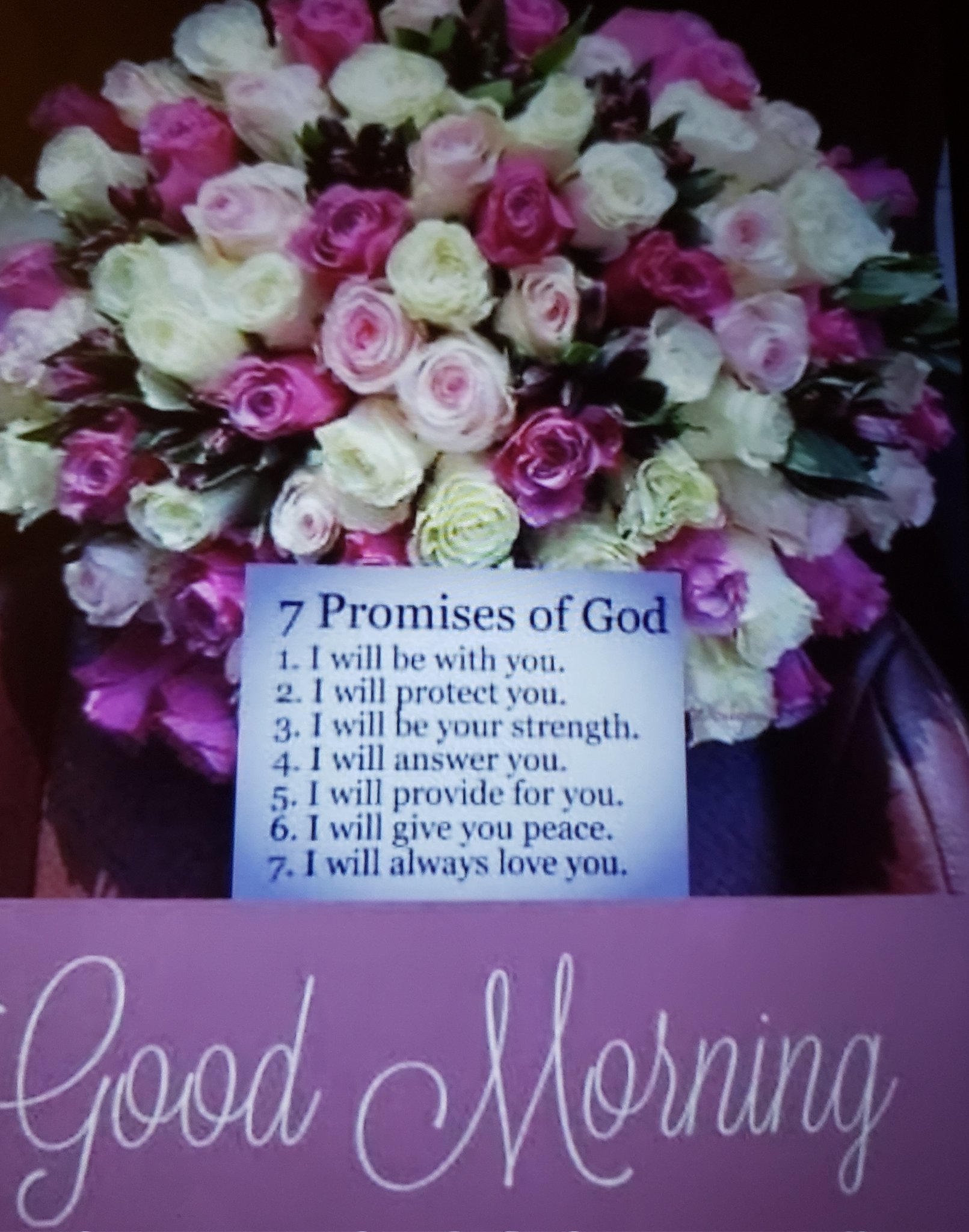 TNTRAYREN98 on Twitter: "Check your email. You don’t want to miss this