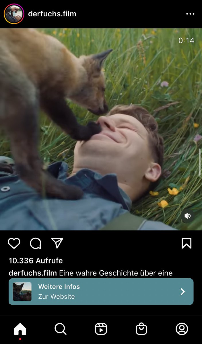 _schwarzeKatze's tweet photo. Sagt mal, ist das ernsthaft eine Feelgood-Story über einen Nazisoldaten und seinen Fuchs in der Normandie? Die zmd im Trailer den NS gänzlich ausblendet. Was soll denn das? https://t.co/RXLpK2WD82