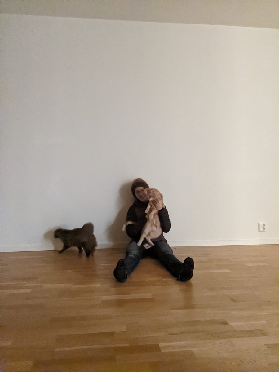 January, january, january...what pleasant chaos you've brought! Started as an Assistant Prof 👀@_SLU @SLUwildresearch ... AND we bought and moved into a new apartment 🤯 The cats did not want to pose for my 'end of an era' of renting photo 😹 To new things, sciencey & homey!🥂