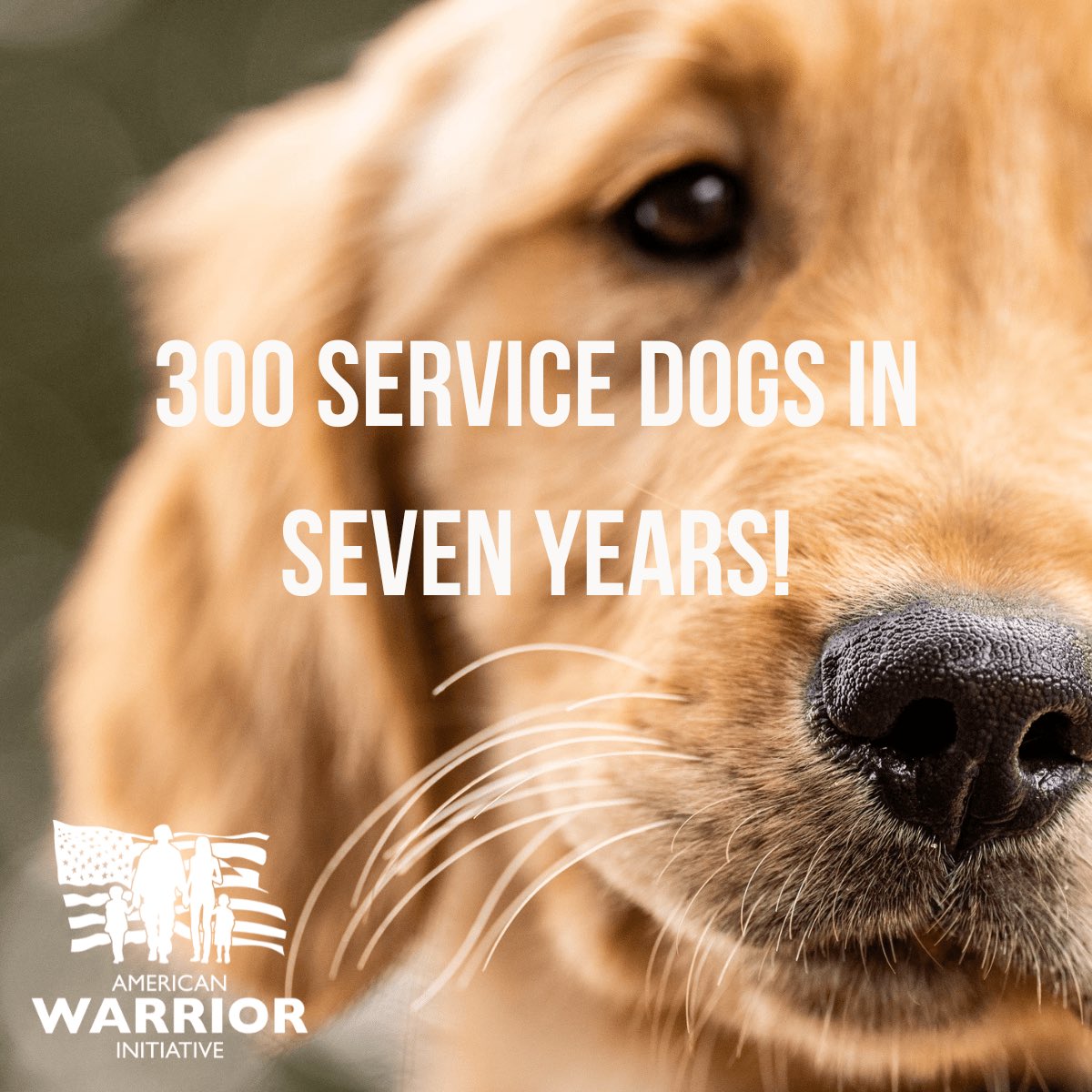 300 SERVICE DOGS… AND COUNTING!!!! 🐶

In the last seven years, Fairway has helped place 300 service dogs into the homes of Veterans 🇺🇸

Fairway’s goal for 2023… is that we are able to donate 100 service dogs 💫💪

#Fairwaynation
#servicedogs #americanwarriorinitiative