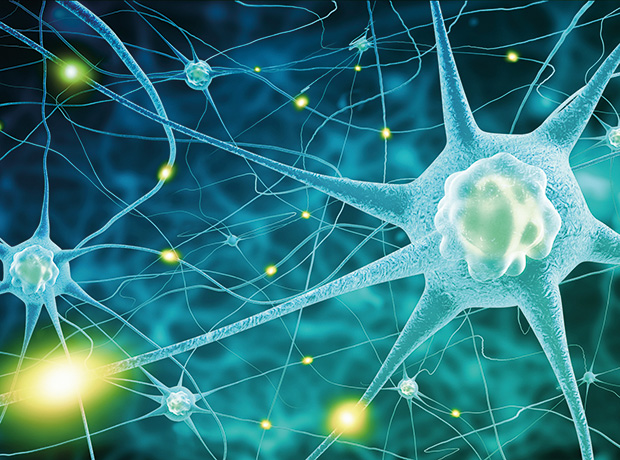 AlzeCure begins Alzheimer's therapy development phase ow.ly/MxfQ104q64r