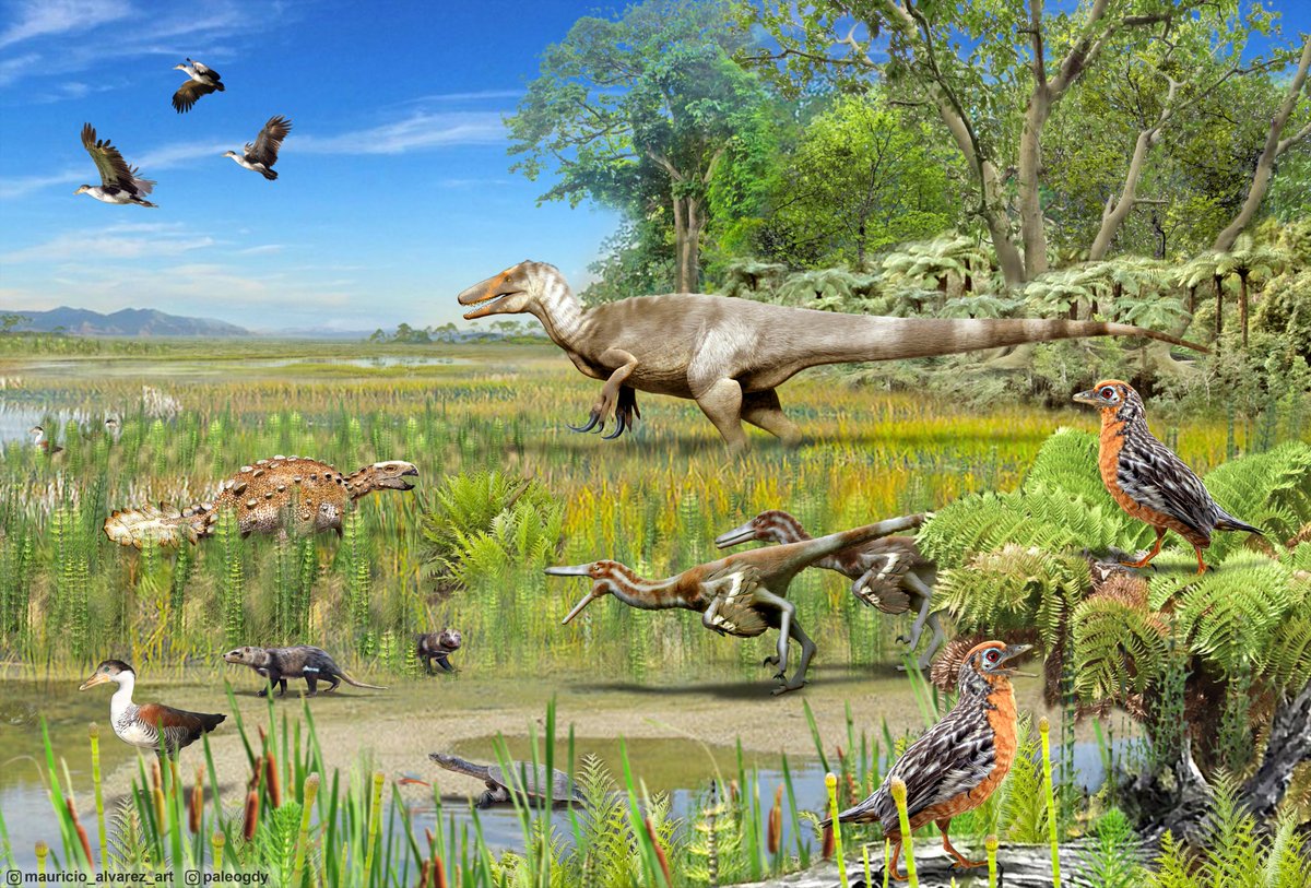 txgeosciences's tweet photo. A recent study led by JSG's @PaleoFeathers offers a first look at the the theropods of Patagonia. They include megaraptor dinosaurs and birds similar to today's ducks and geese. 🦖🦆
https://t.co/EnUqEHxqTT https://t.co/dly4rG2HRj