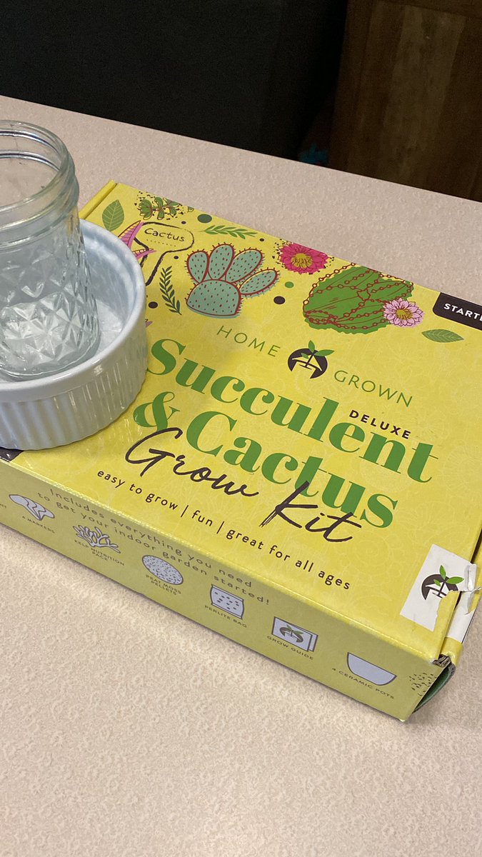 Gonna soak these seeds and see what we can grow. #succulent #cactus #growkit