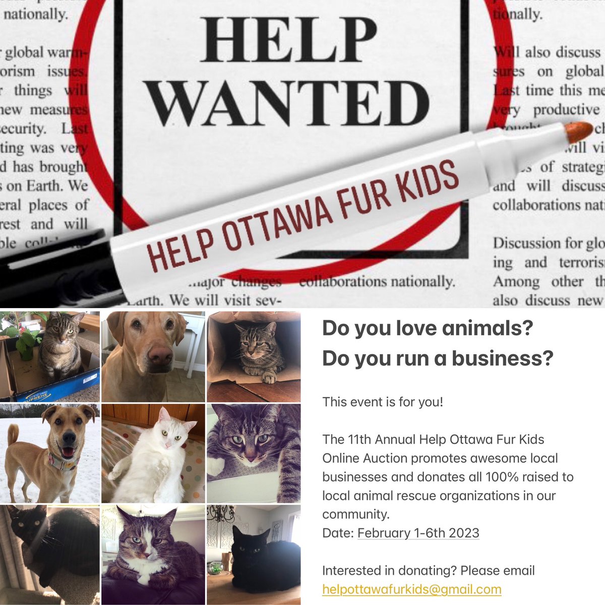 Help Ottawa Fur Kids (@helpottfurkids) on Twitter photo 
