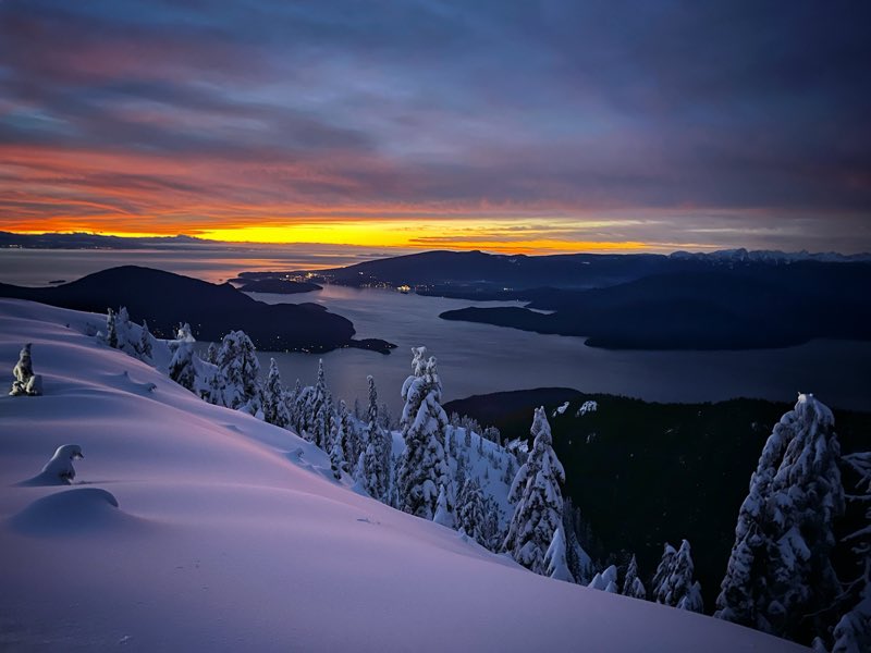 Jaime Stein tweet media