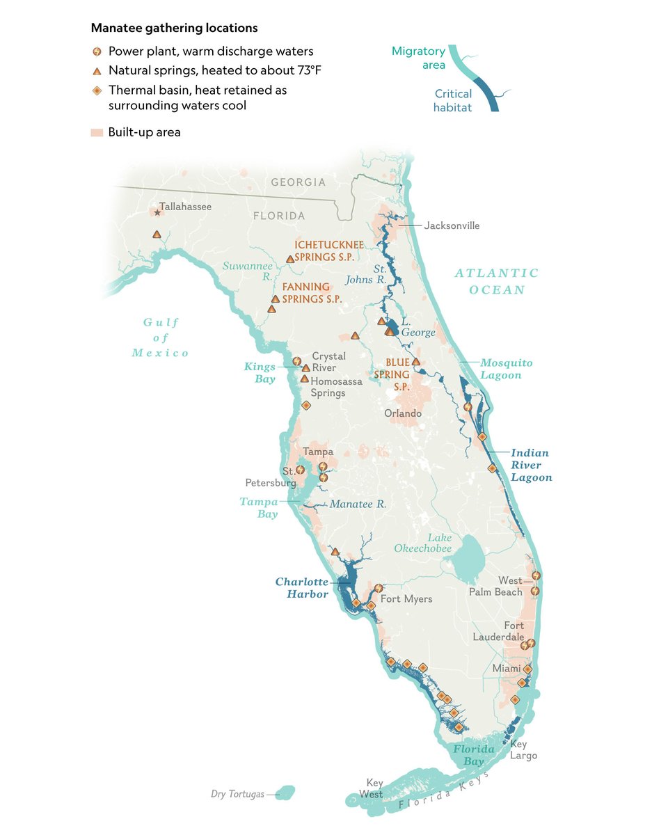 NatGeoMaps on Twitter: "Florida’s manatees face an uncertain future as