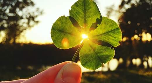 Een oprecht dankjewel uitspreken:
💛 naar de ander
💛 of juist vanwege de omgeving of situatie waarin je je begeeft
💛 of een dankjewel naar jezelf

💡 Waar ben jij dankbaar voor?

harderwijkanders.nl/fractie/dankje…

#gemeenteharderwijk #harderwijk #hierden #harderwijkanders