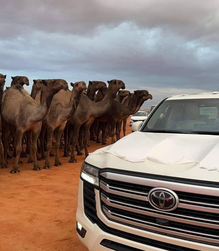 لا  قـفلـت  بوجيهنا  كـل  الأبـواب
وقـام  الزمان  يحد  ضرسه  ونابه

يالله  برزق  ما حسبنا  له  أحساب 
و يالله  بـدعوة  مسلـمآ  مستجابه

من  رفع   كفه   لخالقه   ما  خاب 
ما  يطمع  ألا  بالمغفرة  و المثابه 

يالله  لا  تميتني  بديار   اللجناب 
ولا  وجودي بديارهم عشى ذيابه