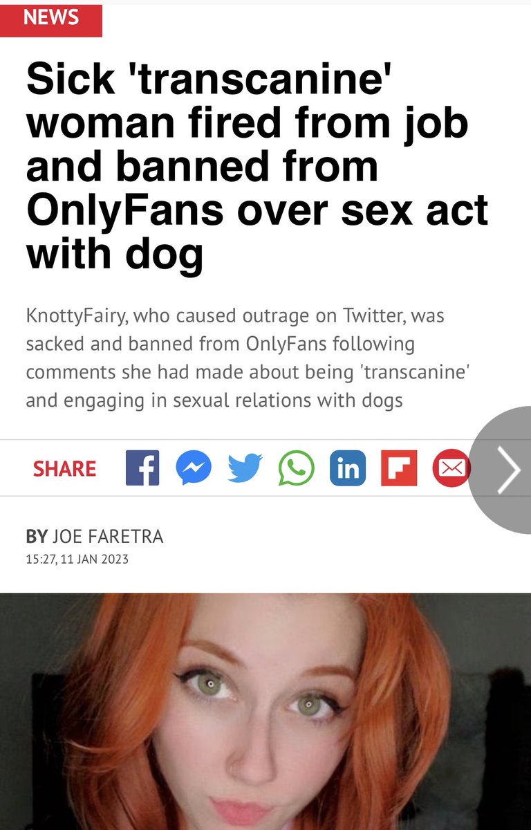 WPL (subscribe on YouTube) tweet media