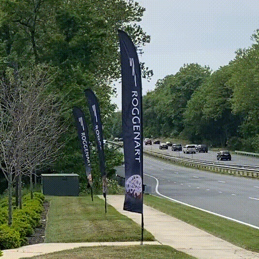 We're so glad to have been part of this project! It was a pleasure working with @RoggenartUSA to design the awnings, signs and feather signs for their Ellicott City location.

#signs #signage #awnings #feathersigns #customsigns #EastWestSignGroup