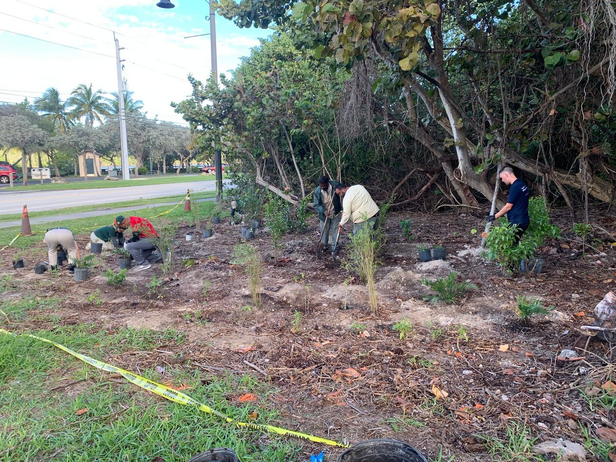 Teamwork makes the dream work! Thanks to our amazing volunteers in #HollywoodFL! 😎 #plantnative #thrivingecosystems