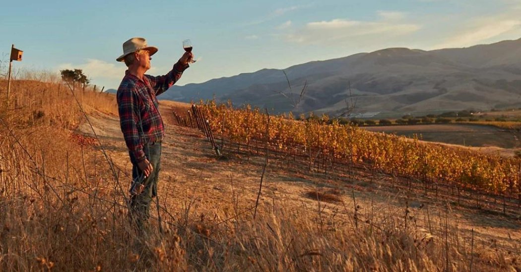 EmpoweringPumps's tweet image. As farmers, Peter Work, a co-owner of Ampelos Vineyard, explains, "We try to remove as many things as we can that go wrong." "I never have to question whether the #IrrigationSystem is effective. I have my @Grundfos #Pump and my #SolarPanels". bit.ly/3wekzwE #PumpTalk