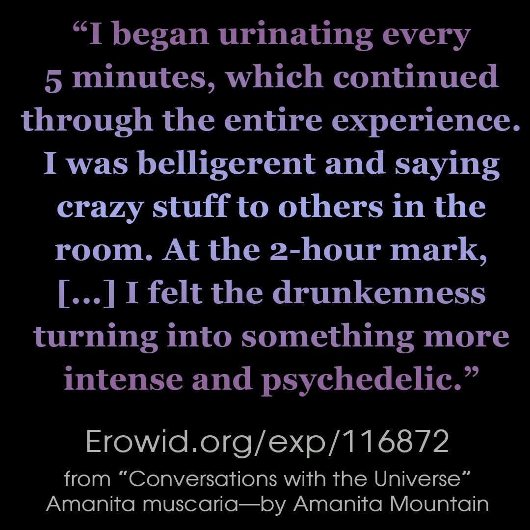 EROWID EXPERIENCES