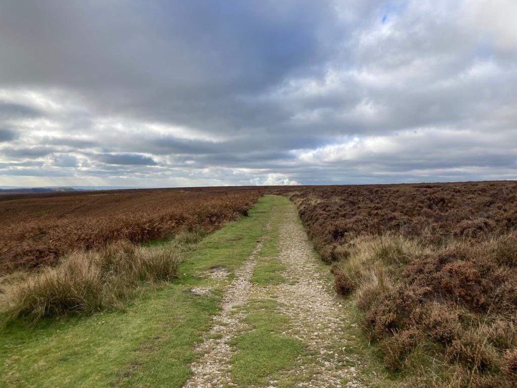 runandbecome1's tweet photo. “My ego talks. My humility acts”.
- Sri Chinmoy 🕊
Happy Wednesday.💙
.
.
.
#yorkshiremorse #ukviews #srichinmoy #landscapeview #jogging #happywednesday #runhappy #winter #newyear #openspace https://t.co/aZ3T4dNLL2