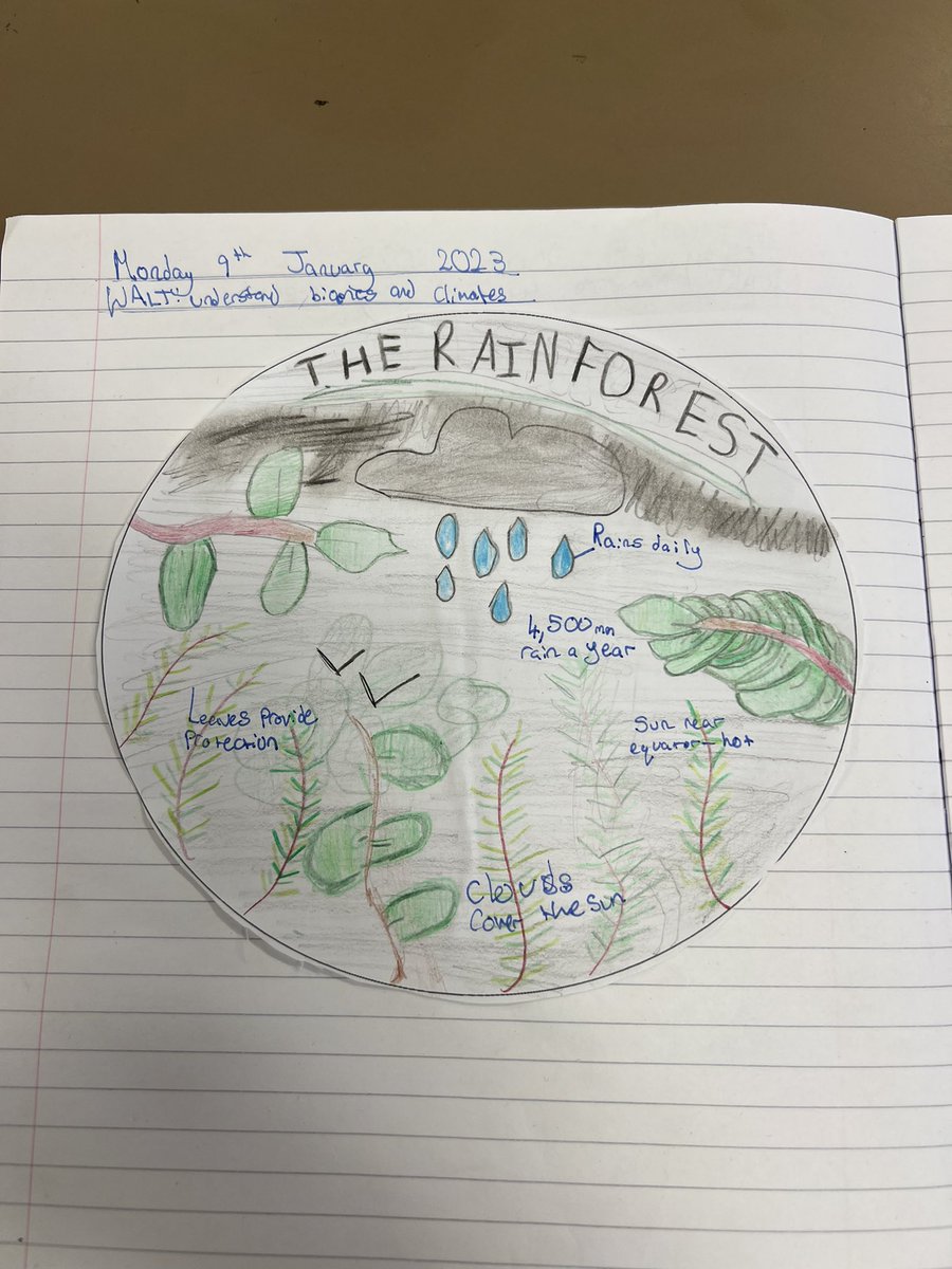 primaryteachew's tweet photo. To begin looking at rainforests, we created our own ‘biome’ to explain the conditions that create the specific habitat we are studying ✨ https://t.co/dq8fNzUAcM