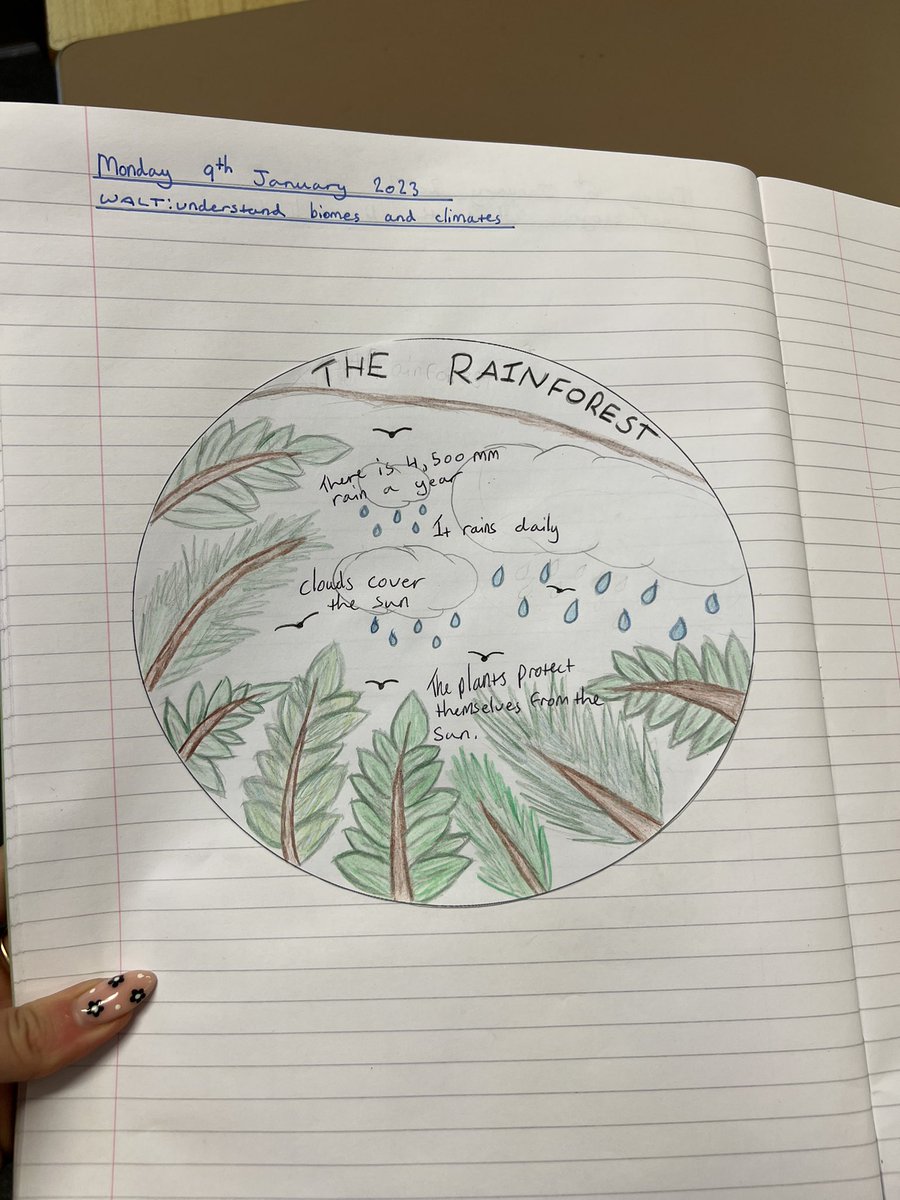 primaryteachew's tweet photo. To begin looking at rainforests, we created our own ‘biome’ to explain the conditions that create the specific habitat we are studying ✨ https://t.co/dq8fNzUAcM