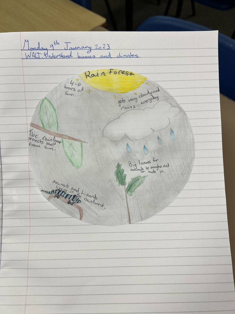 primaryteachew's tweet photo. To begin looking at rainforests, we created our own ‘biome’ to explain the conditions that create the specific habitat we are studying ✨ https://t.co/dq8fNzUAcM
