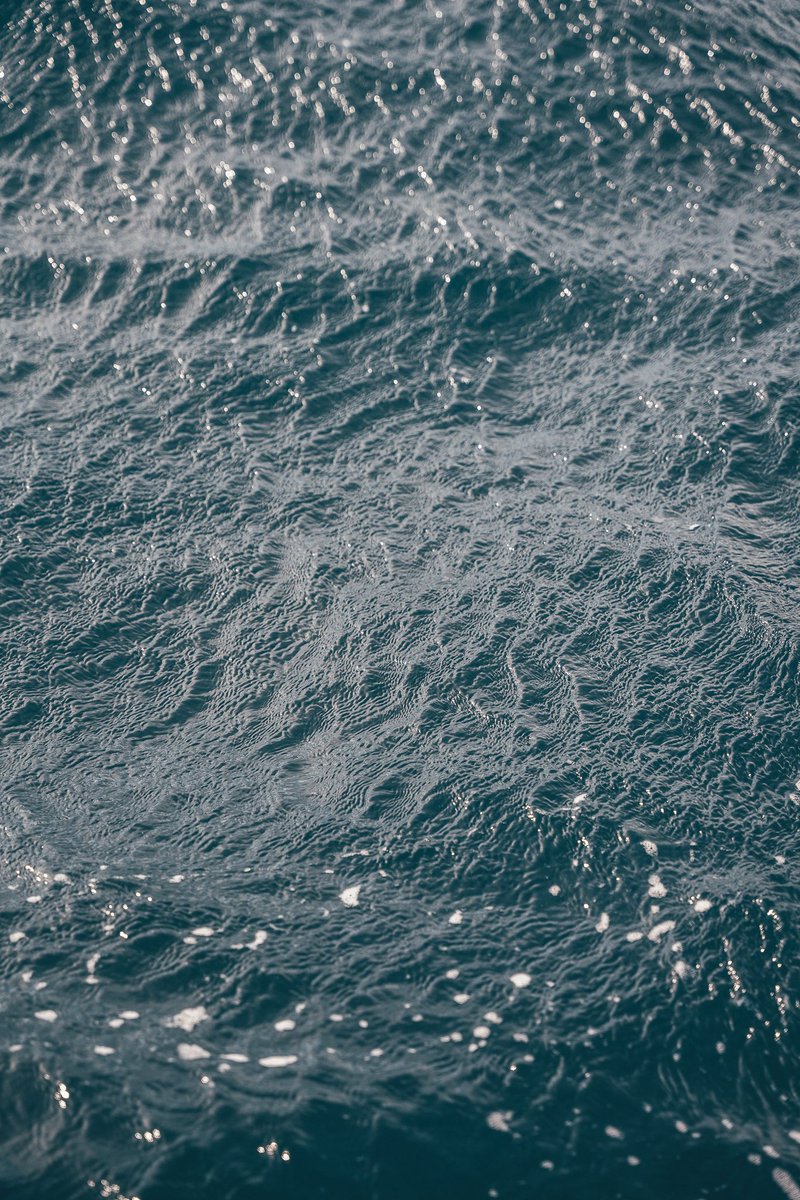 kivraan's tweet photo. Life at sea 🌊 https://t.co/8wb9BcTgBr