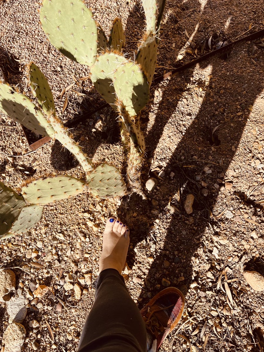 duchessanisa's tweet photo. Way out in the desert…#feetfinder #feetfethish #feetpicsforsales #feetpic #feet #footfetısh #bbw #bbwfeet https://t.co/dwJlfcXHte