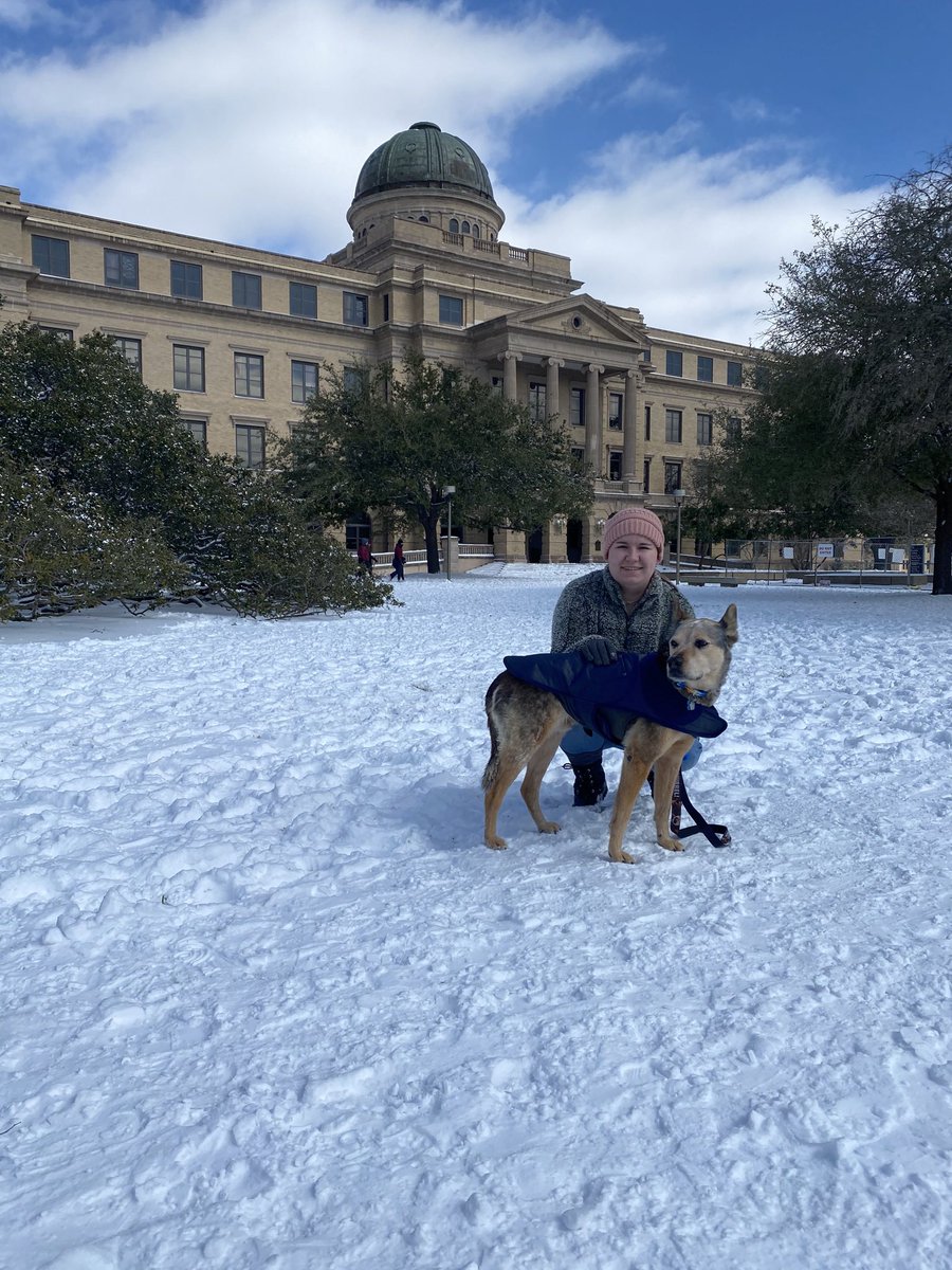 case_closed29's tweet photo. @TAMU Winter wonderland! https://t.co/FJfxtu8U9Z