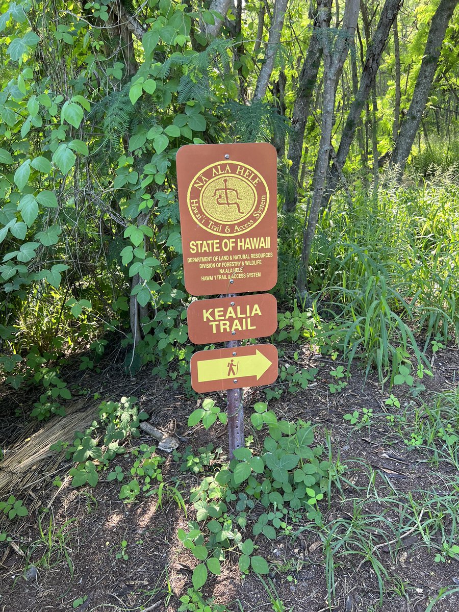 Bill Dudney tweet media