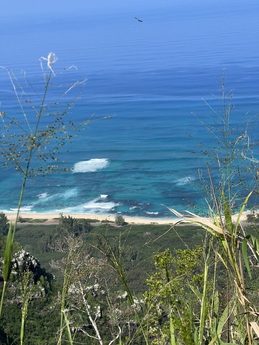 Bill Dudney tweet media