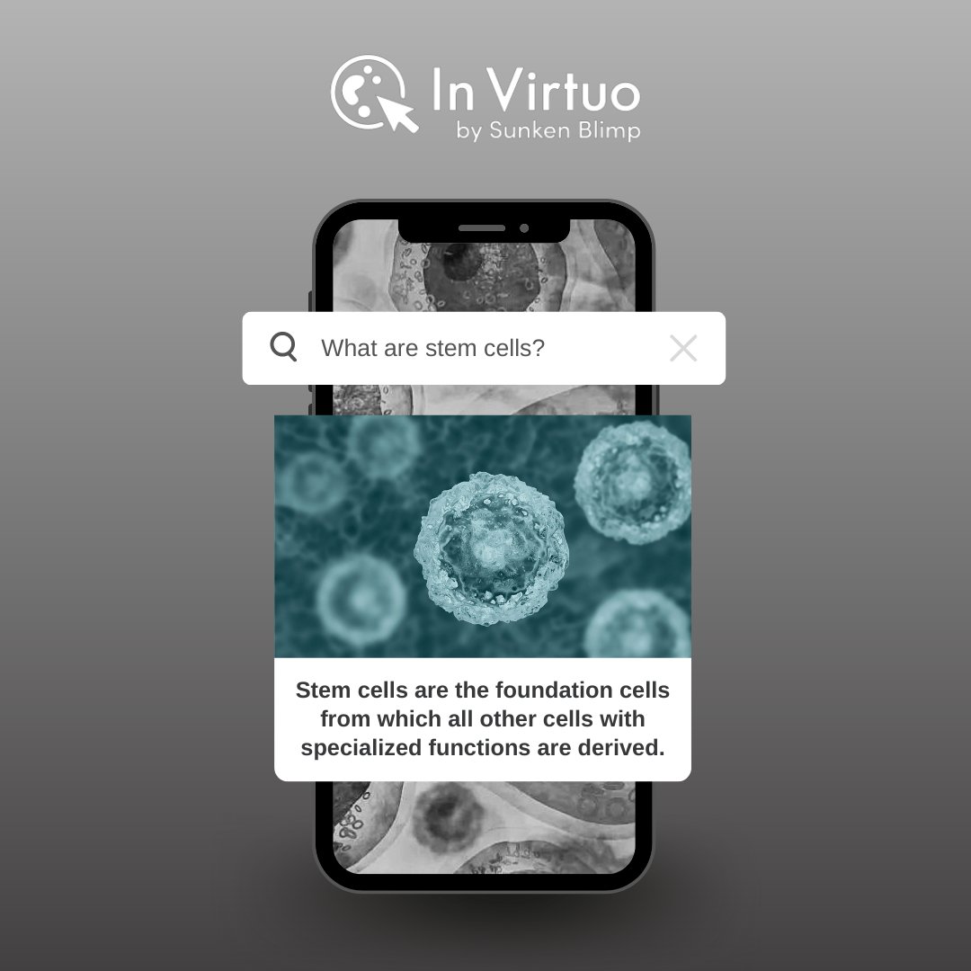 In Virtuo tweet media