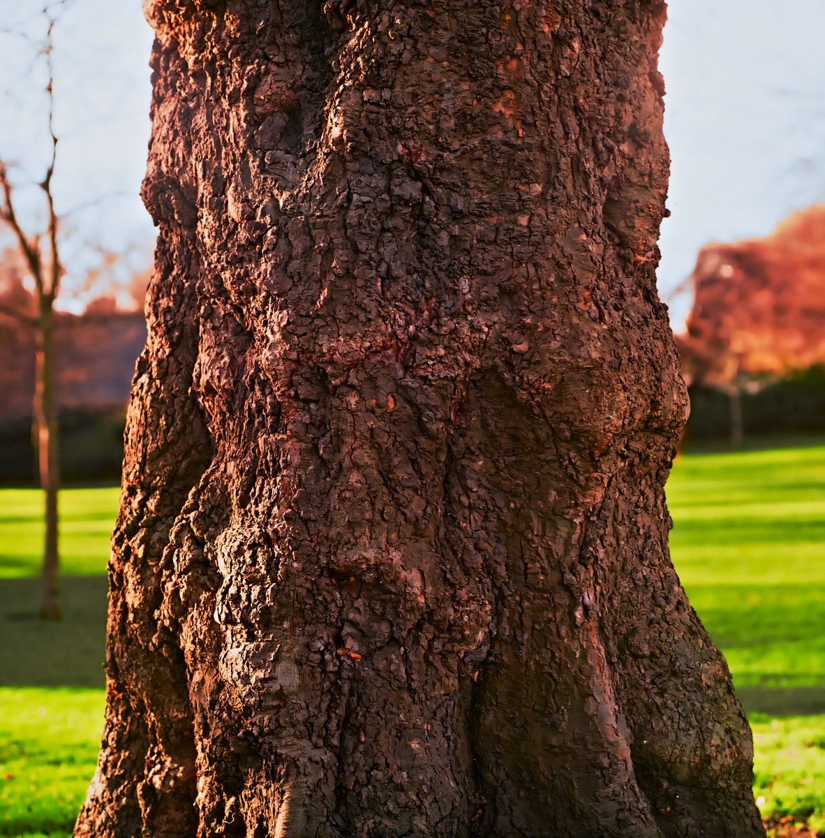CrivetiMihai's tweet image. Love the colors you get from @Kodak Gold 200 120 film, shot on #Pentacon Six TL with Zeiss 120/2.8 lens.