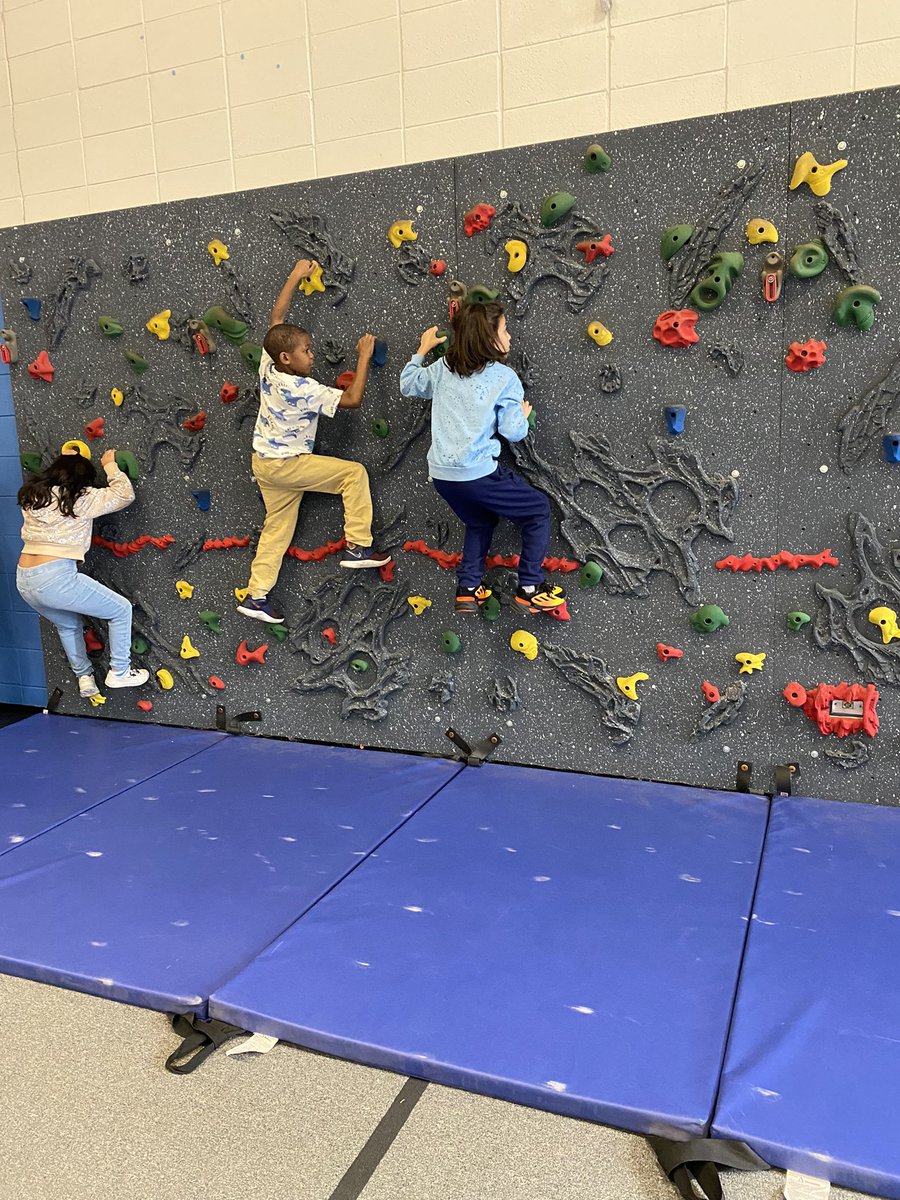 Debi Steffenhagen tweet media