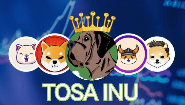 TosaInu_Erc20's tweet photo. @AdamEShelton #Tosa Inu is inspired by Shiba Inu and Akita dogs, shit coins like doge coin, shiba Inu and now Tosa Inu.

Some GIGA CHADS are already in #tosa #tosainu 

TG: https://t.co/6HWENUYdHA
chart: https://t.co/fGxU4JgHnA https://t.co/AsVKdBv86o