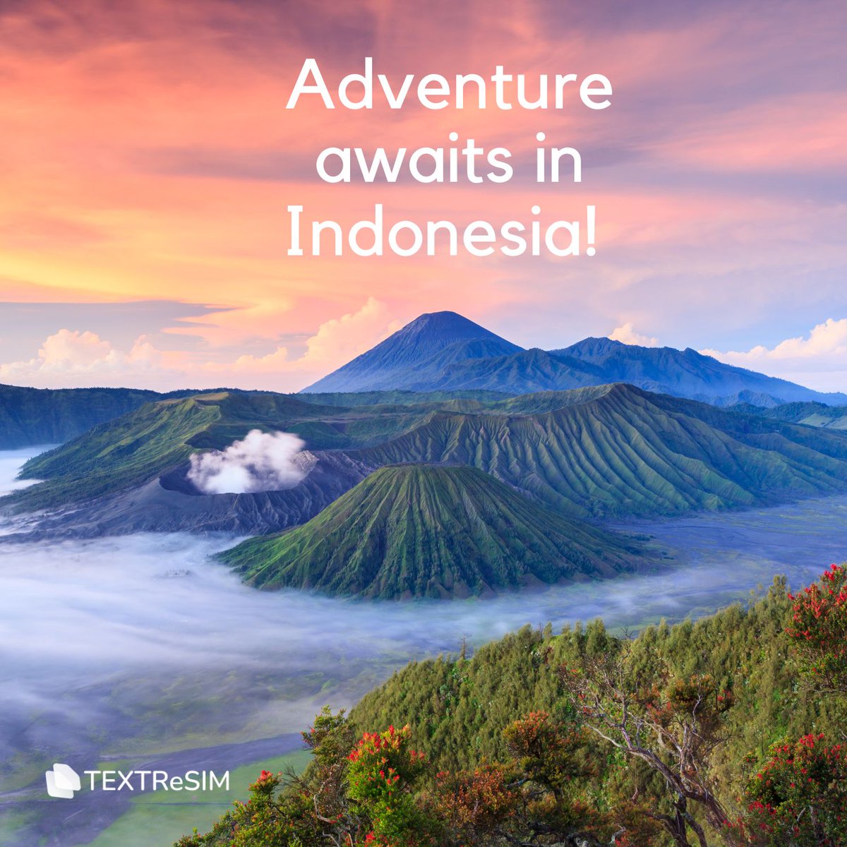 Adventure awaits in Indonesia! 🇮🇩 Pack your bags and explore the unique culture, delicious cuisine 😋, and stunning beaches this vibrant nation has to offer.   
🙌 Get Textr eSIM, don’t get lost in the data plan wilderness.
#travellife  #dataplans #textresim  #eSIM #travelsim