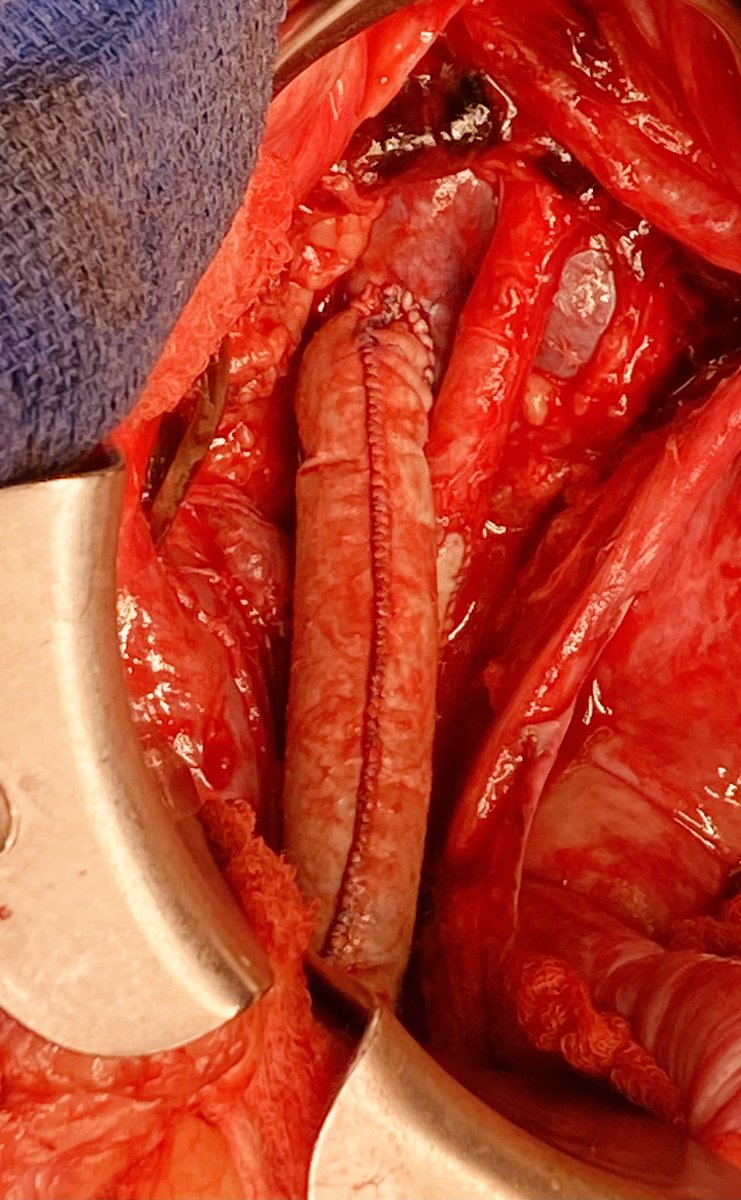 frank arko tweet media