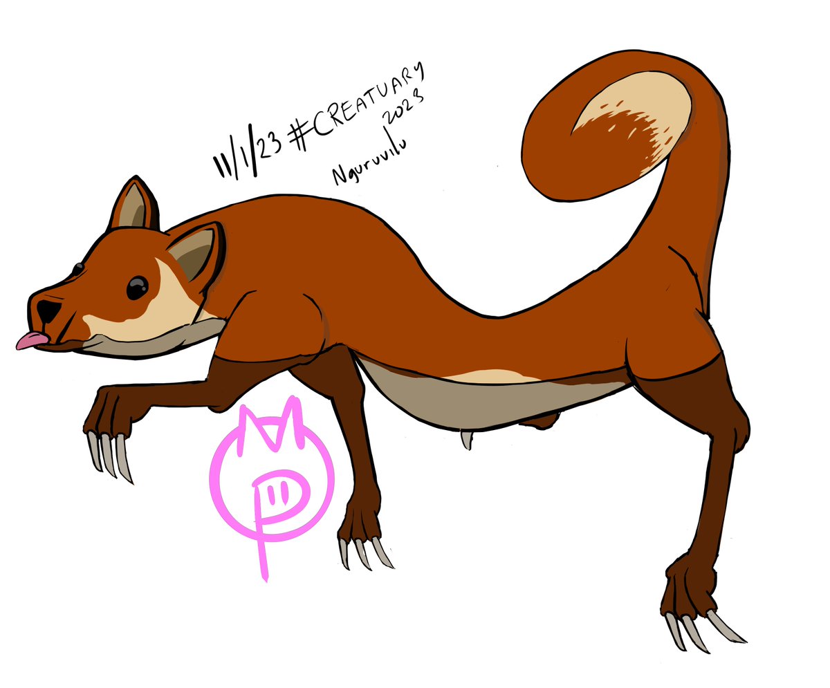 MilkyPork's tweet photo. #Creatuary #creatuary2023! Day 11 - Nguruvilu! A river-dwelling Chilian creature that resembles a fox with a snake-like body, a long tail, and fingernails it uses like claws. They are said to cause whirlpools for people attempting to cross the rivers they reside in. https://t.co/7knyQfblYU